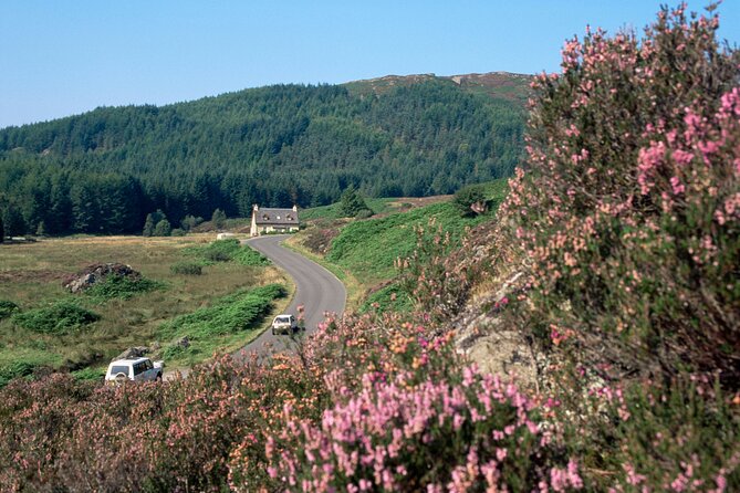 Loch Lomond National Park & Stirling Castle Full Day Tour - Key highlights worth planning for