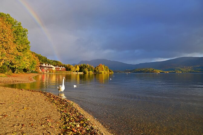 Loch Lomond National Park & Stirling Castle Full Day Tour - From Glasgow pickup to a Loch Lomond reset