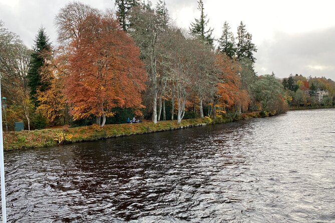 loch Ness, Clava Cairns, Culloden, COO,S, DRAMS & Outlander sites - Robertson’s Farm Stop: The Cows, Goats, Alpacas Factor