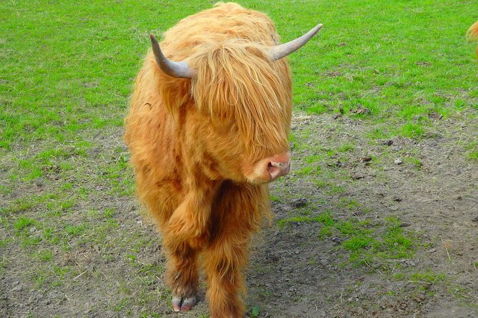 Loch Ness & Culloden Battlefield Private Tour from Inverness - Clava Cairns: prehistoric stones and Outlander fan moments