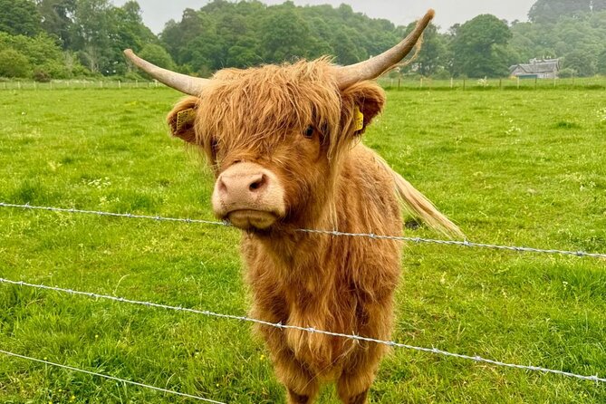 Loch Ness, Culloden, Clava and whisky/gin tour from Inverness. - Starting in Inverness, then building a route you can customize