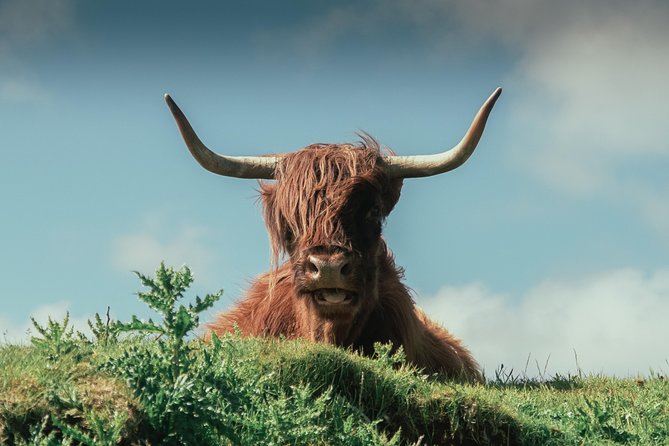 Loch Ness, Glen Coe & The Highlands Day Tour from Edinburgh - Fort William and the Ben Nevis area: the famous mountain without the full climb