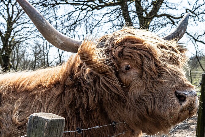 Loch Ness Private Day Tour up to 8 passengers - Stop 4: Inverness city time plus Culloden for story fans