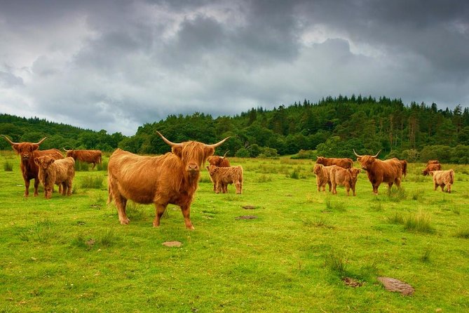 Loch Ness & Urquhart Castle Private Day Tour from Edinburgh - Edinburgh to Pitlochry: crossing the Forth and stretching your legs