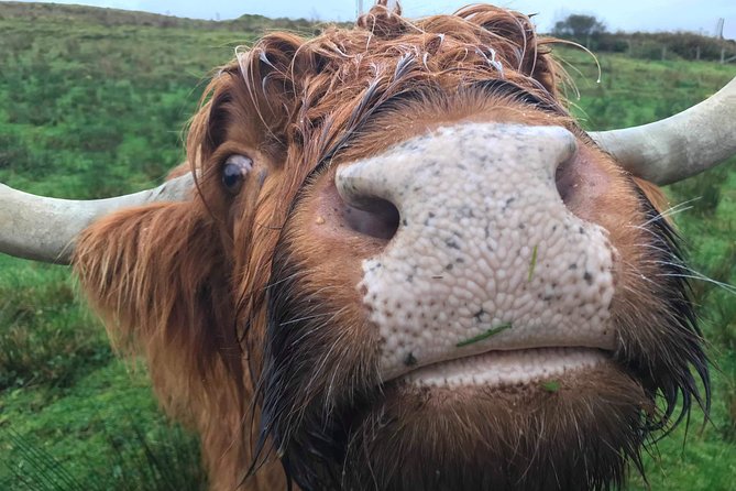 Multi Day Private Tour Of Scotland - What makes Dirty Daves’ 3-day Scotland trip work