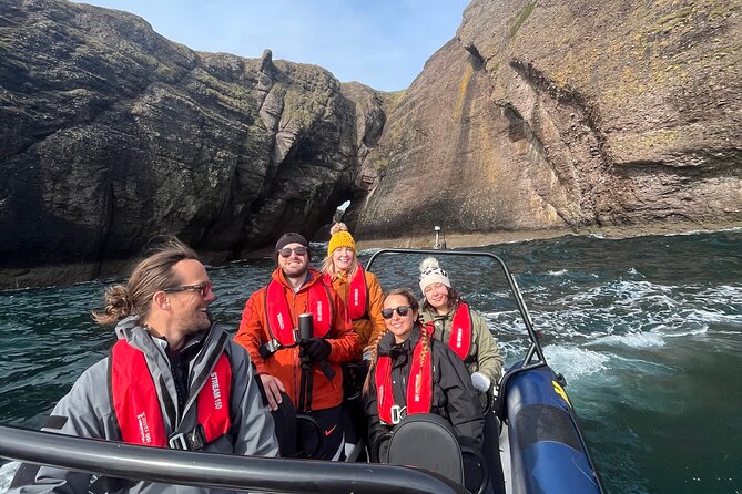 Northern Islands RIB Tour - Island Neave and the Rabbit Islands: seals, seabirds, and close coastline