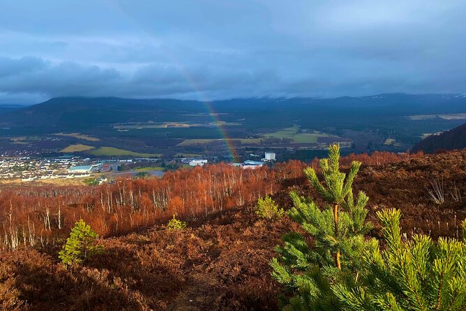 Private Cairngorm National Park tour - Key highlights you should care about