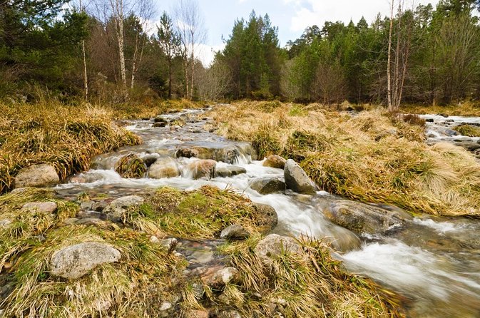 Private Guided Mountain Walking Experience in the Cairngorms - Key highlights before you go