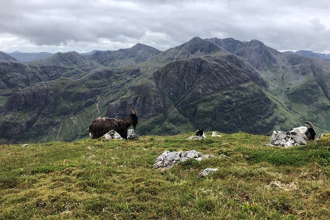 Private Guided Mountain Walking Experience in the Cairngorms - Handling clouds and rain: why “options” matter on the day