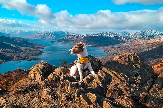Private Harry Potter, Glenfinnan Viaduct, Highlands tour Glasgow - Stirling Castle plus Perthshire Highland Coos: the day starts strong