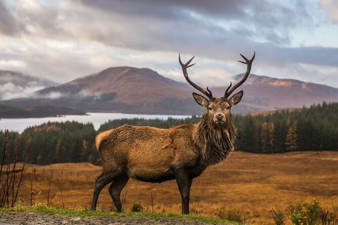 Private Isle of Skye Tour - Key things to know before you go