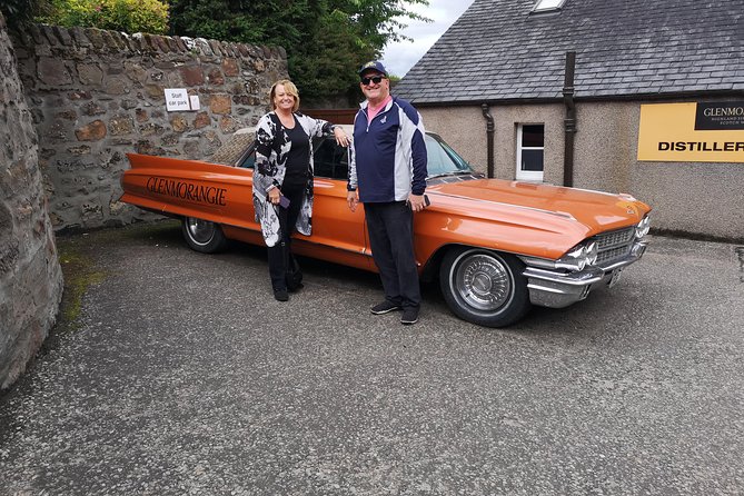 Private Luxury North Route Invergordon Shore Excursion - Ardgay Hairy Coos: the working-croft animal stop done right