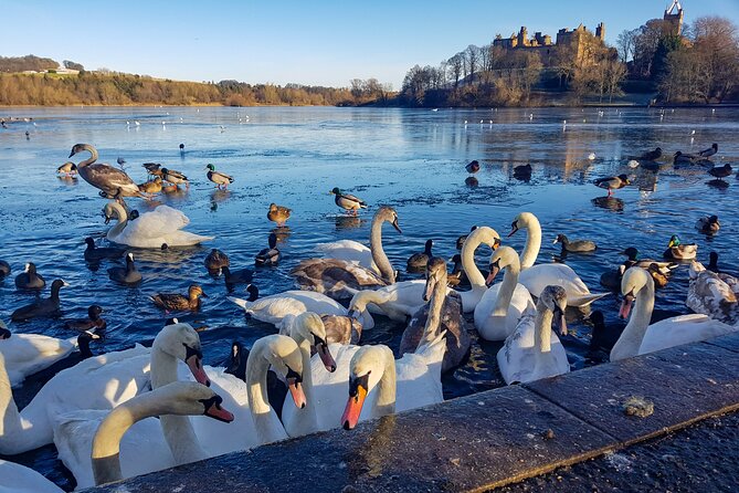 Private Luxury Tour of Loch Lomond, Glencoe & The Highlands - Kilchurn Castle, Loch Awe, and Castle Stalker on the Water