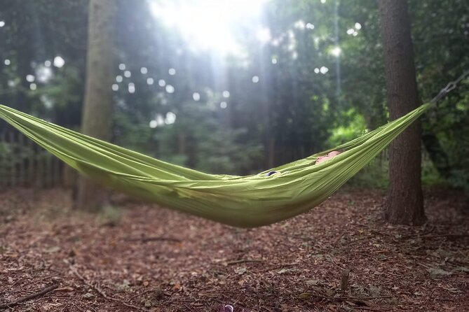 Private Mindfulness and Nature Walk in Edinburgh - Your 90 Minutes: A Guided Flow You Can Feel in Your Body