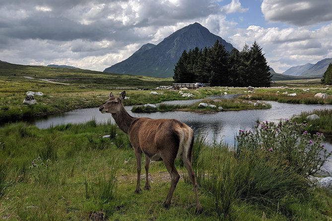 Private One Day Highlands Tour of Scotland - Timing and pace: how to enjoy 240 miles without feeling trapped