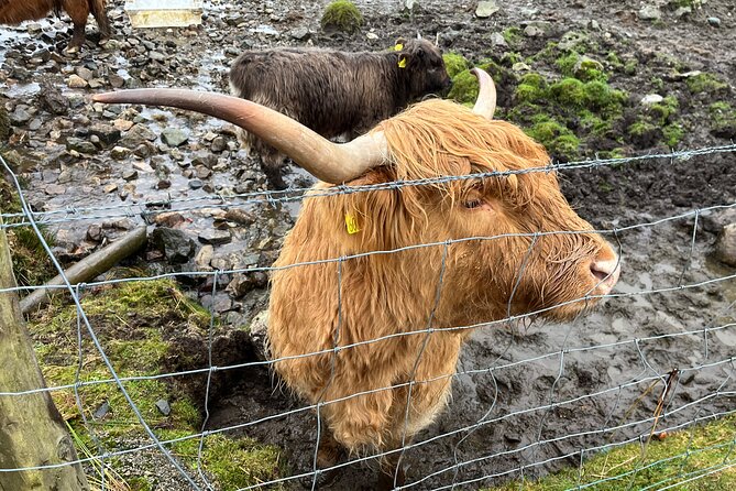 Private Scottish Highlands and Loch Ness Tour from Edinburgh - Edinburgh Pickup to the Highlands Road: The Morning Plan