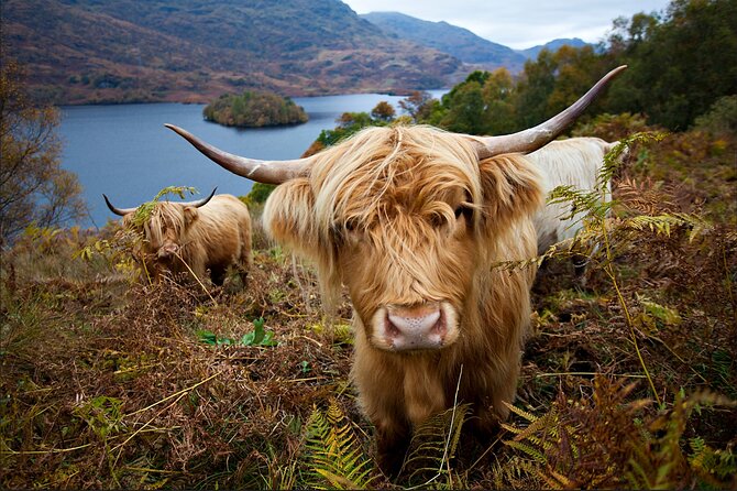 Private Tour of Loch Ness, Glencoe and Highlands from Edinburgh - Dalwhinnie Distillery and the Commando Monument Pause