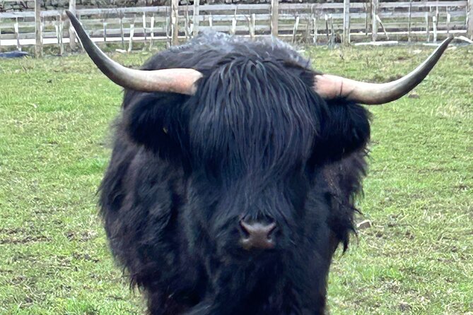 Private Tour of the Highlands, Glencoe and Castles from Stirling - Private Stirling pickup and the real value of a 4-person day