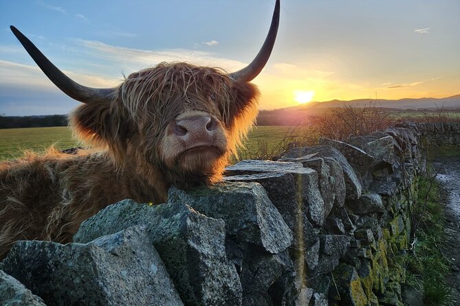 Private Tour of the Scottish Highlands from Edinburgh - Pickup, Private Vehicle Comfort, and the Small Details That Matter