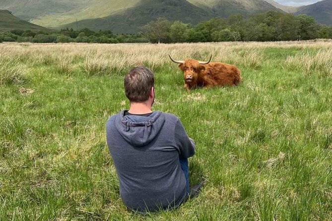 Private Tour to the Stunning Scottish Highlands & Glencoe - Kilchurn Castle Walk: Ruins, Highland Cows, and a Manageable Stroll