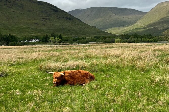 Private Tour to the Stunning Scottish Highlands & Glencoe - Glencoe Views and a Local Pub Stop: Ending on the Drama