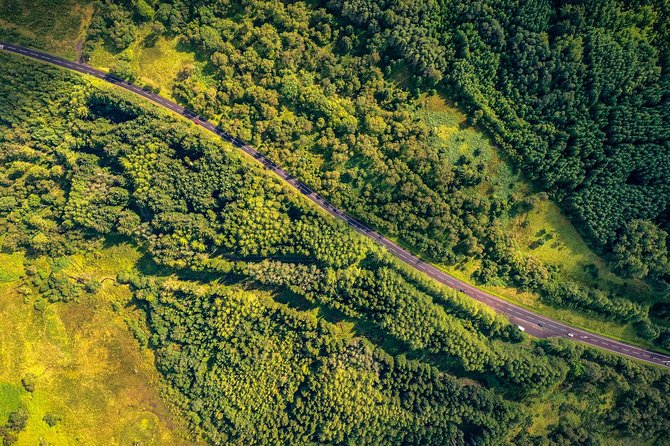 Ricky's gateway to the Highlands Tour - Into the rare native forests and along Loch Chon