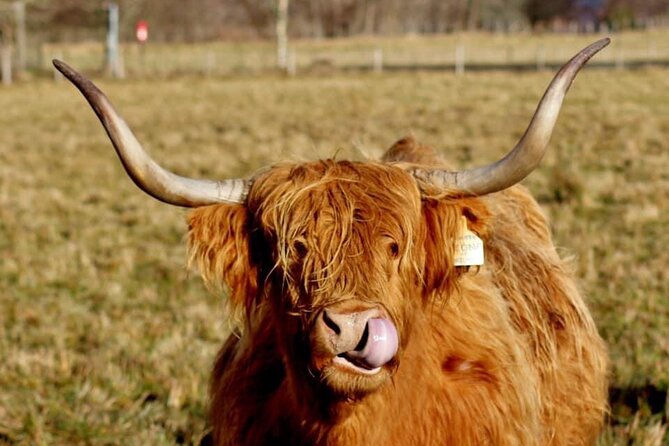 Scotland Lochs & Glens Day Tour - Callander as the gateway to the Highlands