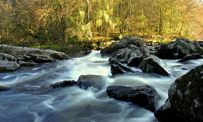 Scotland's Glens, Highlands & Whisky Day Trip from Edinburgh - Lochs, Hairy Coos, And Guide Stories That Make The Drive Worth It