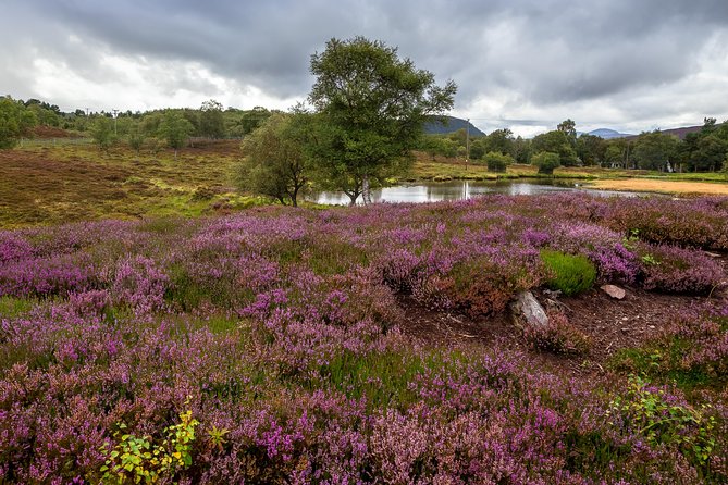 Scottish Highland Games Day Trip from Edinburgh - Blair Atholl Highland Games and Blair Castle Gardens Stop