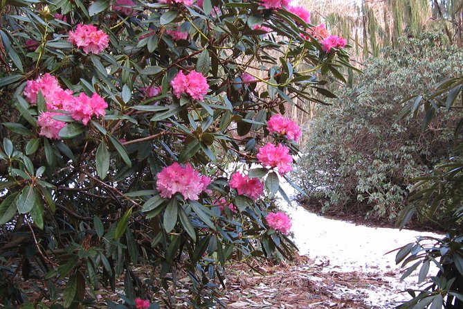 Skip-the-Line: Botanic Garden Entry Ticket - Stop: Dundee Botanic Garden itself, from entrance to greenhouse and cafe