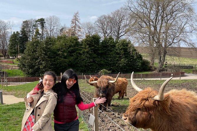 Speyside Whisky Tour - Picking distilleries that match your taste, not a fixed route