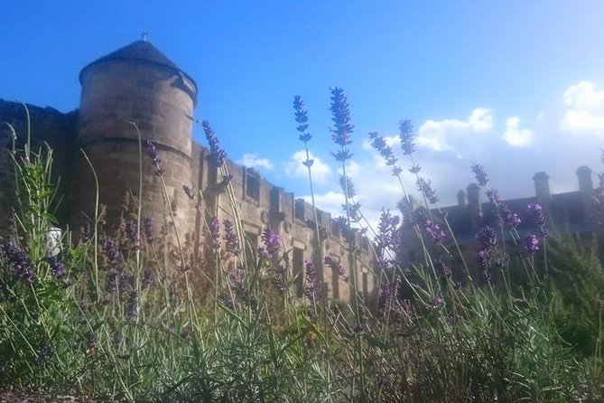 St Andrews, Falkland and Fife Villages Tour from Edinburgh - Key highlights worth planning around