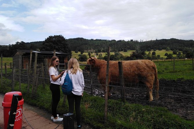 Stirling Castle, Hairy Coo's & The Trossachs - A car-free day that strings together Stirling and the Trossachs