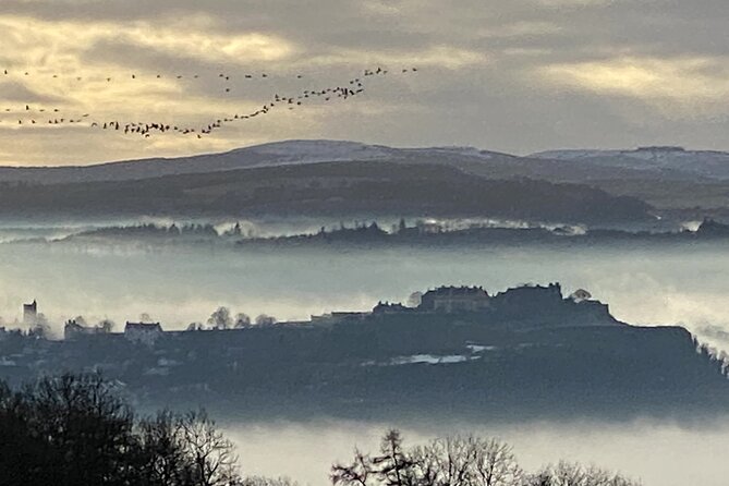 Stirling Castle, Highlands and standing stones experience. - Key Highlights You Should Know