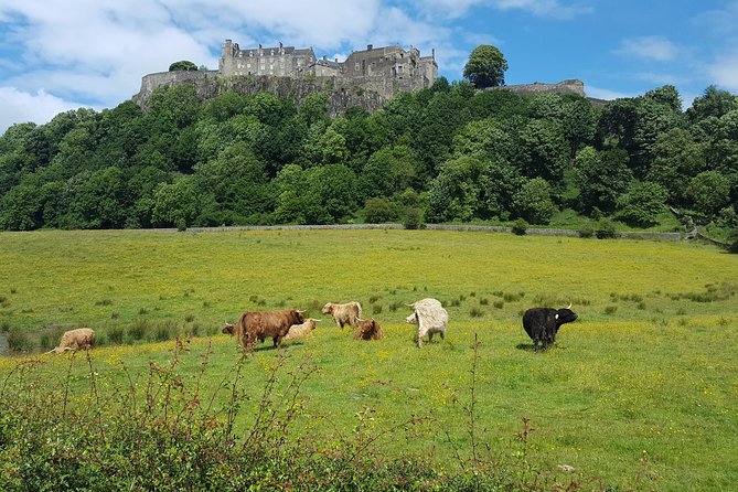 Stirling Castle, Trossachs and Loch Lomond Shore Excursion - The Trossachs Woollen Mill Stop for Hairy Coos and Tartan Shopping