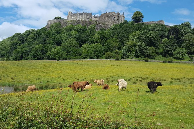 Stirling Castle, Trossachs, Loch Lomond and Whisky Tour - Loch Lubnaig Photo Stop: Short, Scenic, And Full Of Possibility