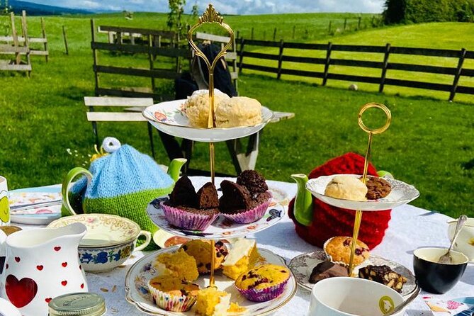 Tea with Naughty Sheep - Price and Value: Is $102.98 Worth It?