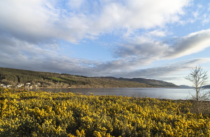 The Complete Loch Ness Experience Small-Group Day Tour from Inverness - Falls of Foyers: A Downhill Walk Through Pine Trees for Hidden Water Power