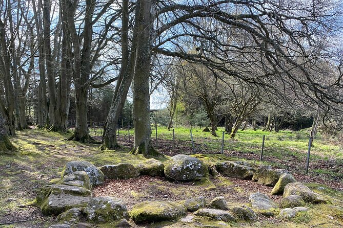 The Outlander Tour Clava, Culloden, Urquhart, Loch Ness & Beauly - Robertson’s in Beauly, Highland Cows and a Real Farm Shop