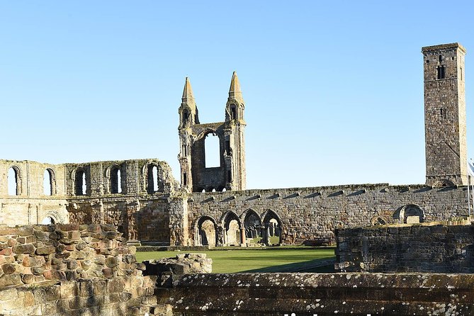 Tour of St Andrews and Historic Fife Small Group Tour - Vehicle Comfort and Seating for Groups of Four