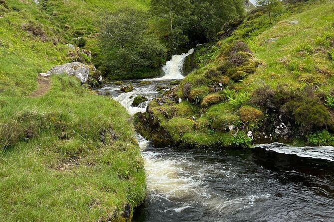 ULLAPOOL PORT Cruise Ship Tour, Ardvreck Castle, Rocks & More - Leckmelm Shrubbery and Arboretum by Loch Broom: A Peaceful Reset
