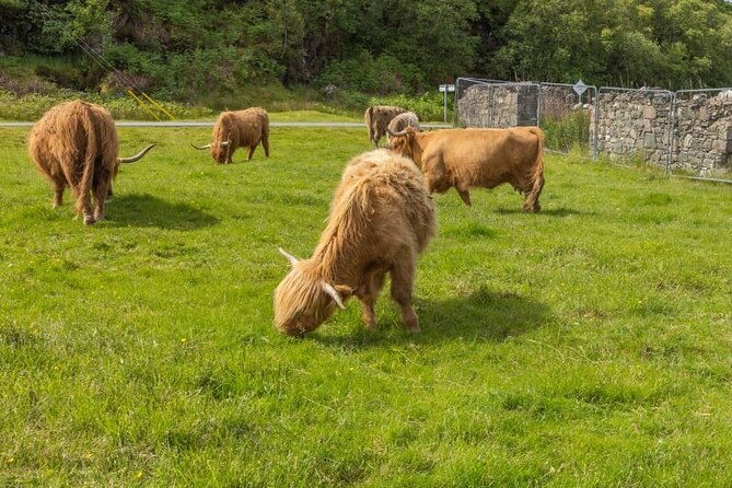 Wild West Coast Adventure (Part 1) - A West Highlands loop that actually makes sense